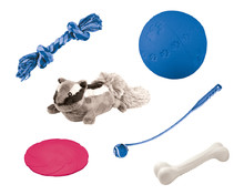 Bastoni, Corde gioco, Giochi di attivazione mentale, Ossa gioco, Dummy e alti Giochi snack da masticare, Frisbee, Lancia-palline, Palle gioco, Pupazzi e Peluche per cani