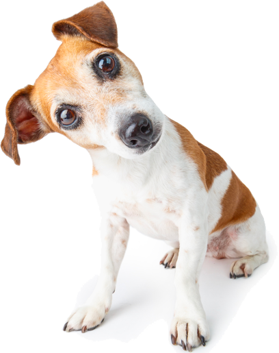 cane.png